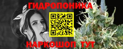 мдма Сланцы