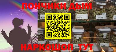 дмт Славгород