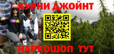 дмт Славгород