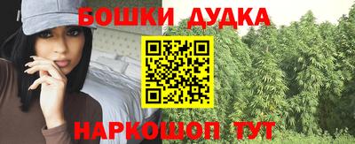 дмт Славгород