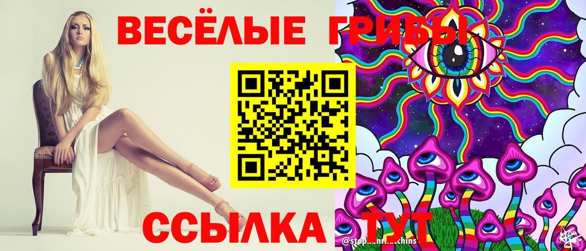 Новоуральск  Псилоцибиновые грибы Magic Shrooms  Вход с VPN  Галлюциногенные грибы GOLDEN TEACHER 