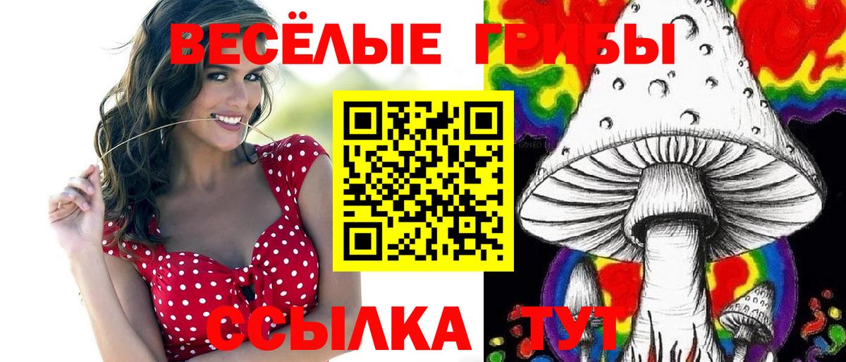 Галлюциногенные грибы GOLDEN TEACHER Новоуральск